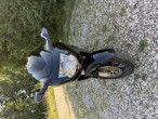 1999 Honda CBR 1100 XX 1999 Honda CBR 1100 XX