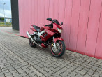 1999 Honda VTR 1000 F Firestorm