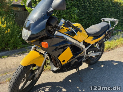 Suzuki GS 500