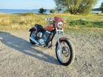 1999 Suzuki LS 650