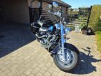 1999 Suzuki VL 1500 Intruder 1999 Suzuki VL 1500 Intruder