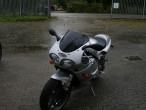 Triumph Daytona 955i