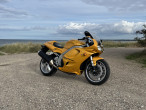 1999 Triumph Daytona 955i 1999 Triumph Daytona 955i