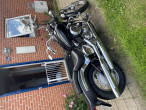 1999 Yamaha XVS 650 Drag Star