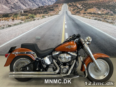Harley-Davidson FLSTF Fat Boy