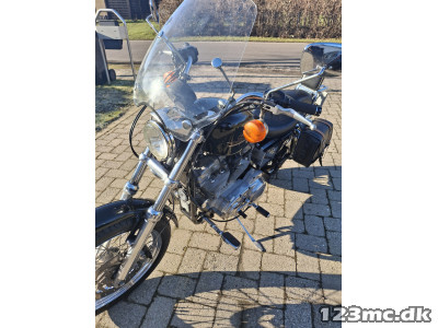 Harley-Davidson XLH883 Standard Harley-Davidson XLH883 Standard