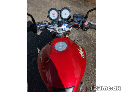 Honda CB 600 F Hornet