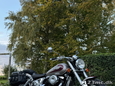 Suzuki VZ 800 Marauder