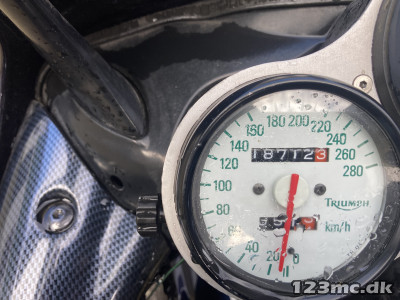 Triumph Daytona 955i