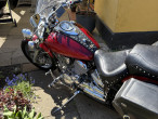 2000 Yamaha XVS 1100 Drag Star