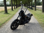2001 Harley-Davidson FXDX Dyna Super Glide Sport