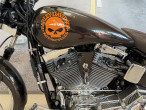 2001 Harley-Davidson FXST Softail Standard 2001 Harley-Davidson FXST Softail Standard