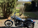 2001 Harley-Davidson FXSTD Deuce 2001 Harley-Davidson FXSTD Deuce