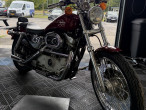 2001 Harley-Davidson XL1200 Custom 2001 Harley-Davidson XL1200 Custom