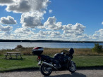 2001 Honda CBR 1100 XX 2001 Honda CBR 1100 XX