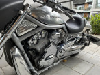 2002 Harley-Davidson VRSCA V-Rod