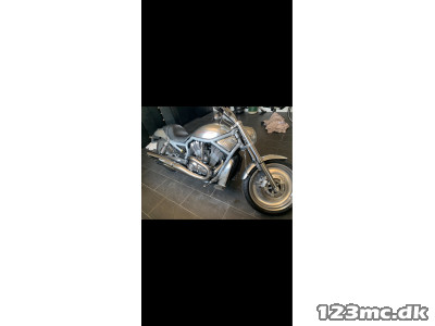 Harley-Davidson VRSCA V-Rod