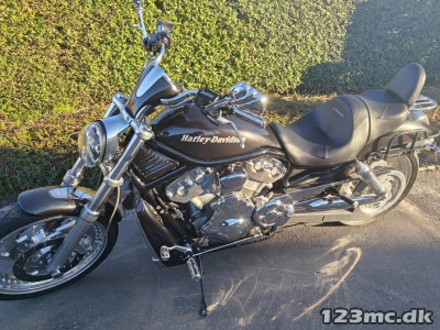 Harley-Davidson VRSCA V-Rod