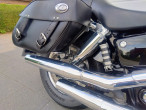 2002 Honda VT 1100