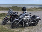 2003 Harley-Davidson VRSCA V-Rod
