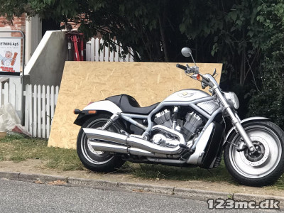 Harley-Davidson VRSCA V-Rod