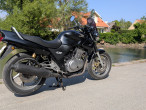 2003 Honda CB 500 N