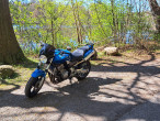 2003 Honda CB 900 F Hornet