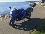 2003 Kawasaki ZZR 600 2003 Kawasaki ZZR 600