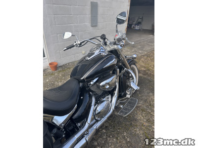 Suzuki VL 800 Intruder Volusia