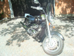 2003 Suzuki VL 800 Z Volusia