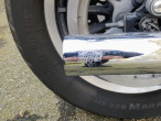2004 Harley-Davidson XLH883 Sportster