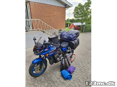 Kawasaki ZRX 1200 S
