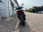 2004 PGO T-Rex 110