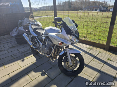 Suzuki GSF 600 Bandit turing