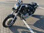 2004 Triumph America