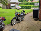 2005 Dadyw DD250E-9B