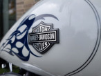 2005 Harley-Davidson FXDWG Dyna Wide Glide 2005 Harley-Davidson FXDWG Dyna Wide Glide