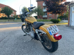 2005 Harley-Davidson XL53C Sportster Custom