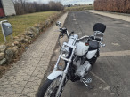 2005 Harley-Davidson XL53C Sportster Custom