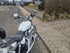 2005 Harley-Davidson XL53C Sportster Custom