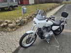 2005 Harley-Davidson XL53C Sportster Custom