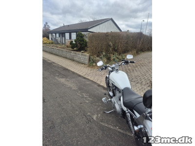 Harley-Davidson XL883C Sportster Custom