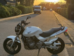 2005 Honda CB 600 F Hornet