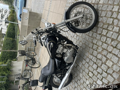Kawasaki EN 500