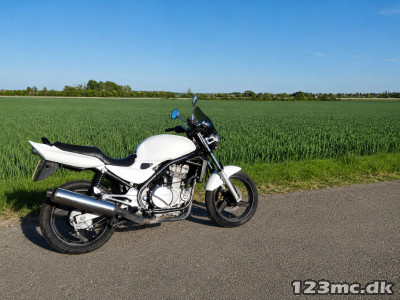 Kawasaki ER-5