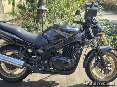 Suzuki GS 500