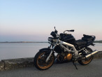 2005 Suzuki SV 1000