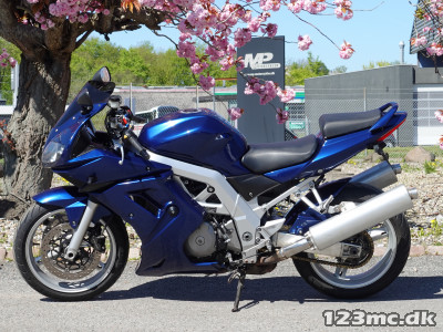 Suzuki SV 1000 S