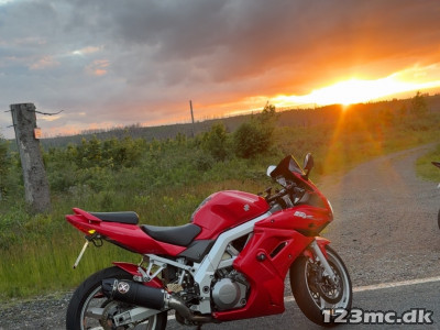 Suzuki SV 1000 S