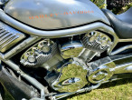 2006 Harley-Davidson VRSCA V-Rod 2006 Harley-Davidson VRSCA V-Rod